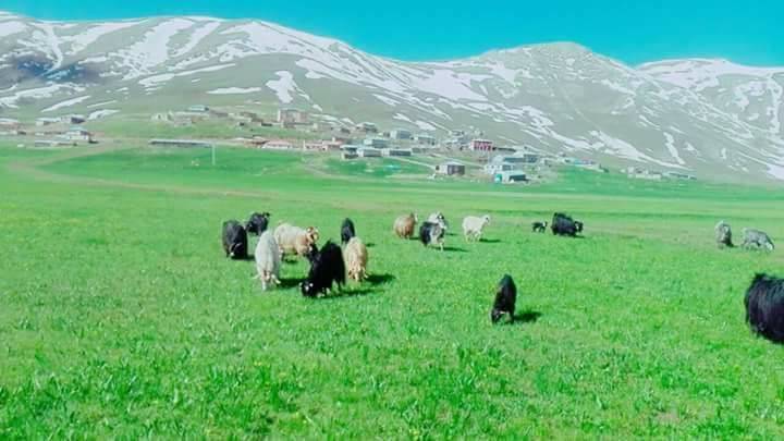 Van Uzuntekne Köyü Resimleri 7