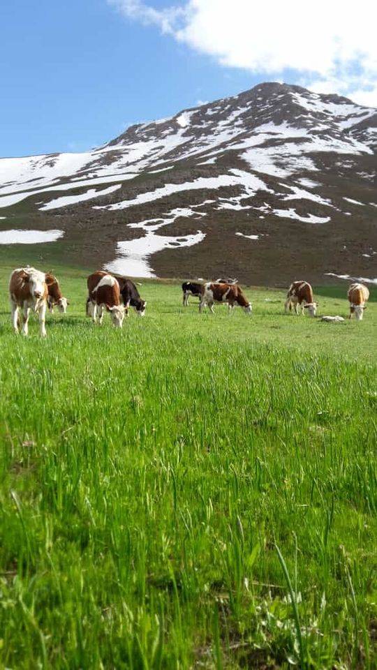 Van Uzuntekne Köyü Resimleri 8