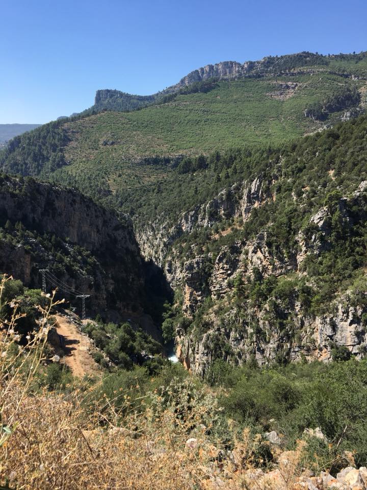 Karasu Hürriyet Köyü Resimleri 5