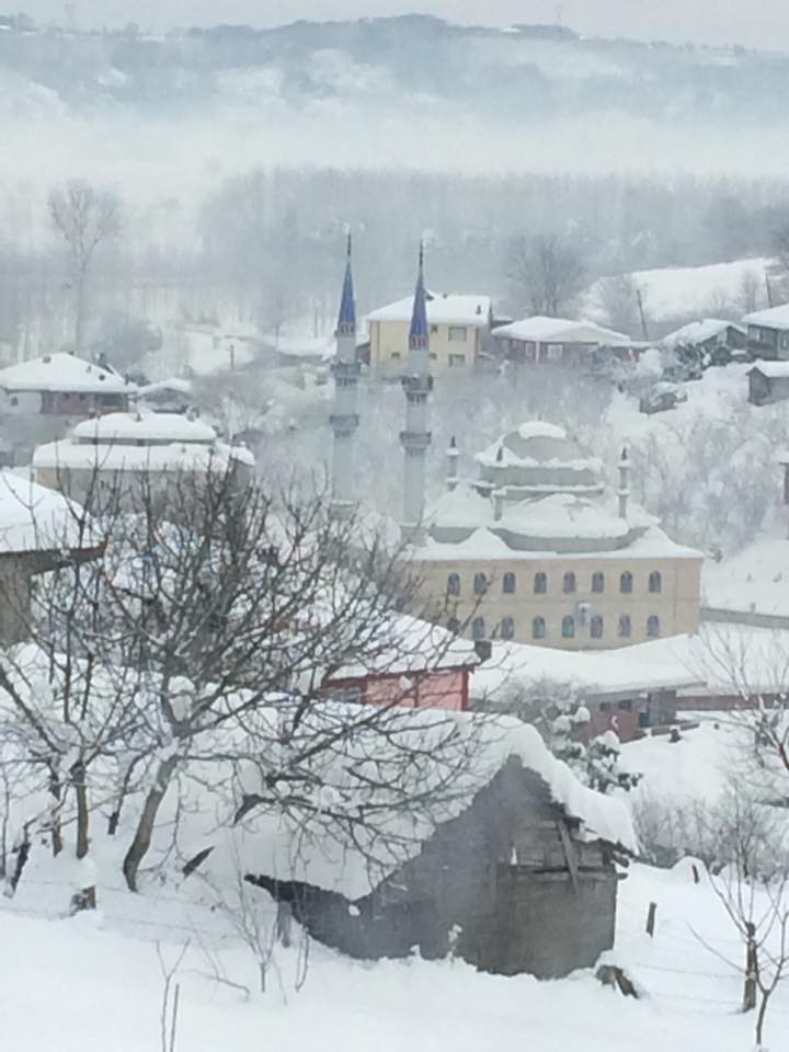 Karasu Hürriyet Köyü Resimleri 9