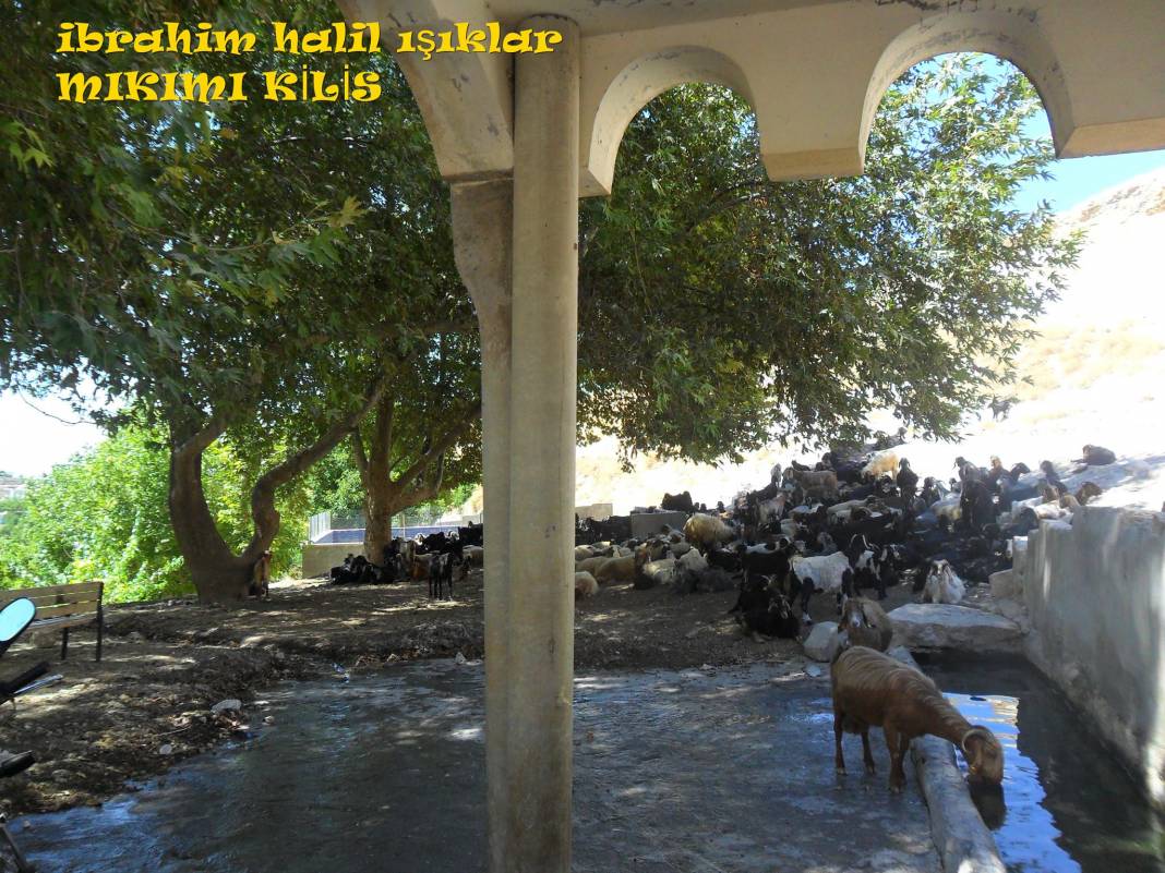 Kilis Kuzuini Köyü Resimleri 1