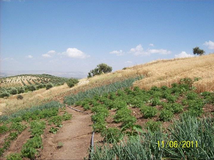 Kilis Mağaracık Köyü Resimleri 3