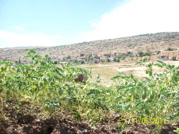 Kilis Mağaracık Köyü Resimleri 4