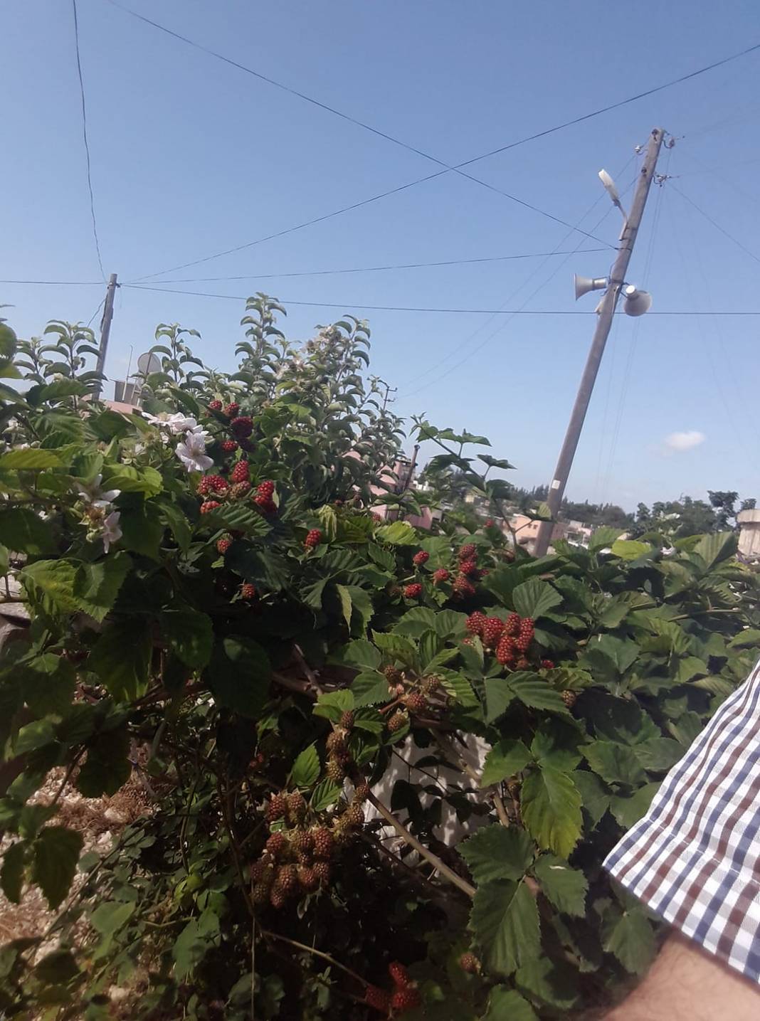 Akdeniz  Gazi Köyü Resimleri 2