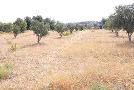 Kilis Narlıca Köyü Resimleri 4