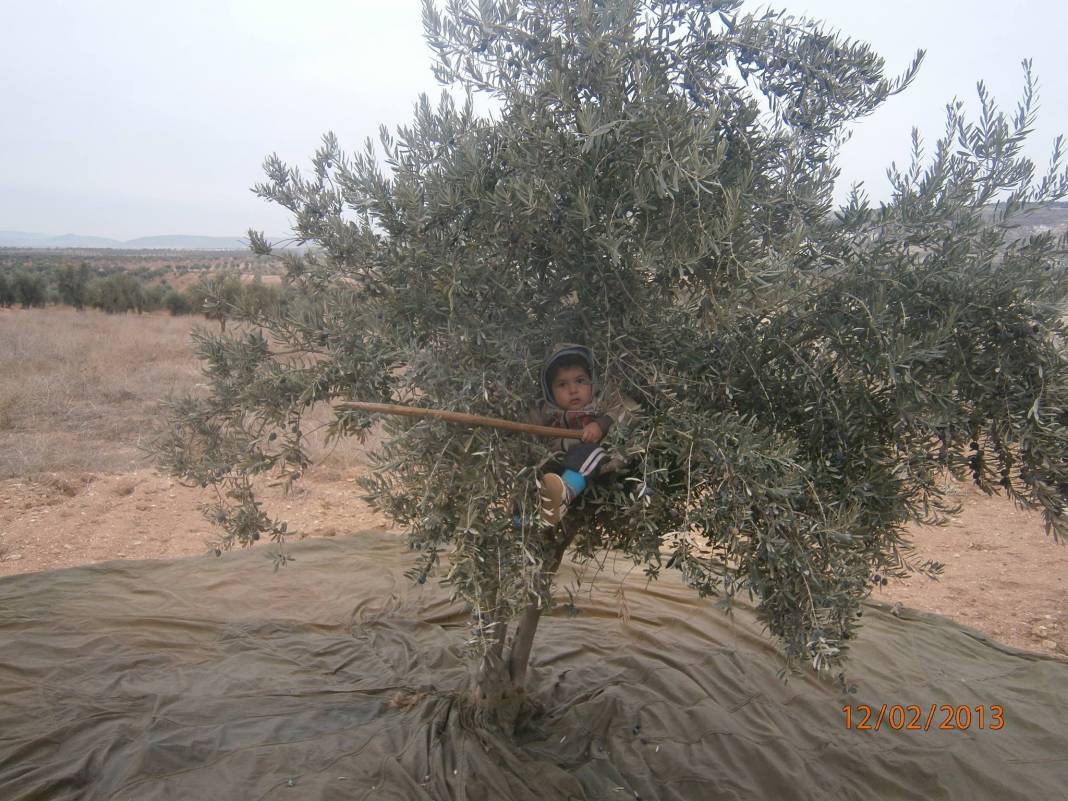 Kilis Tahtalı Köyü Resimleri 6
