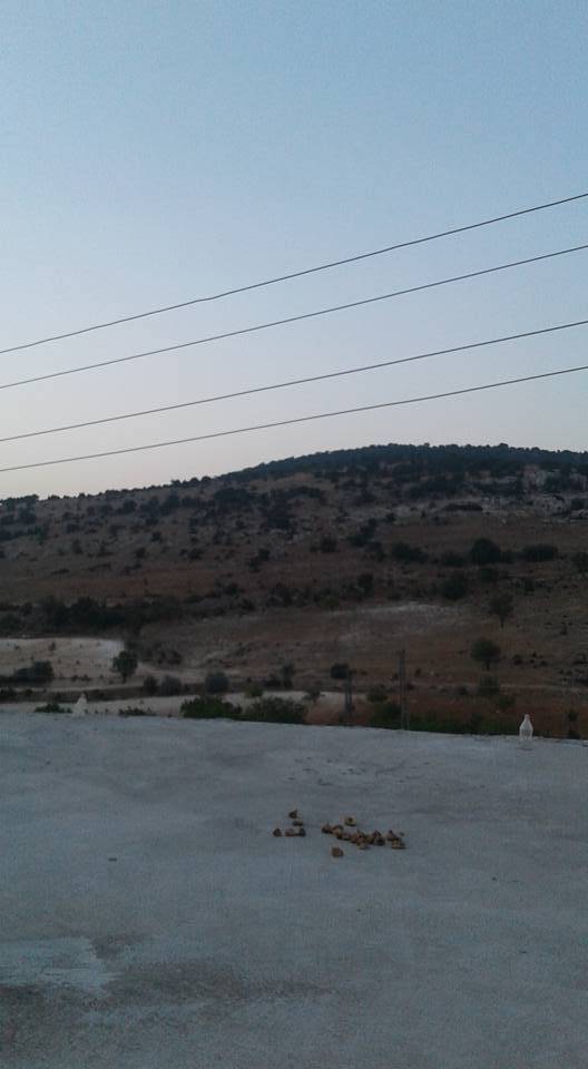 Kilis Tamburalı Köyü Resimleri 1