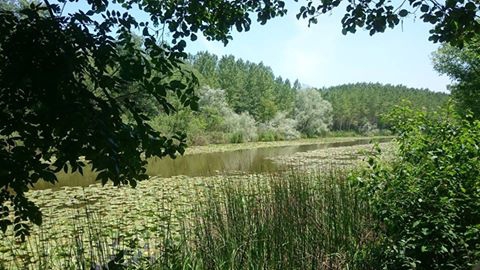 Karasu Karamüezzinler Köyü Resimleri 1