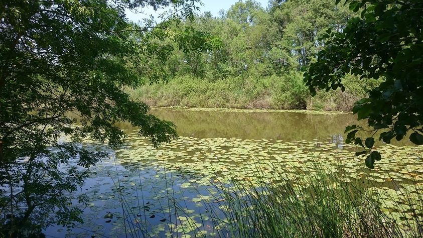 Karasu Karamüezzinler Köyü Resimleri 2