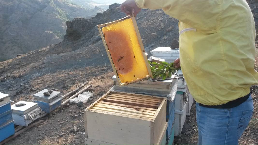 Sivas Acıdere Köyü Resimleri 5