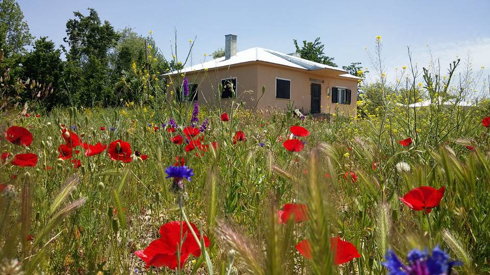 Van Enginsu Köyü Resimleri 2