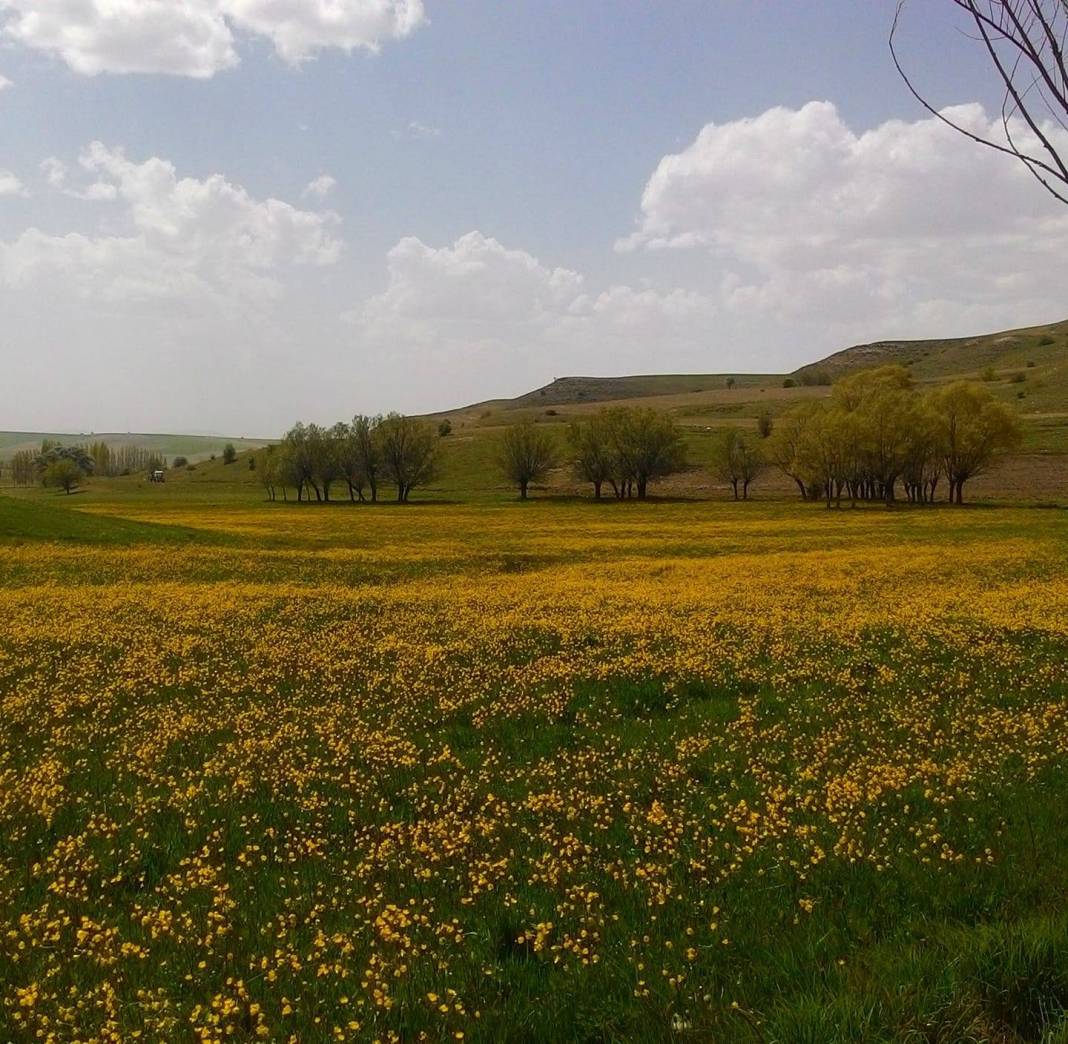 Sivas Akçahan Köyü Resimleri 2