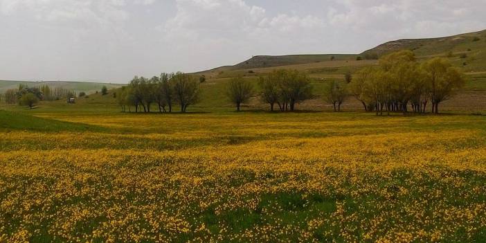 Sivas Akçahan Köyü Resimleri