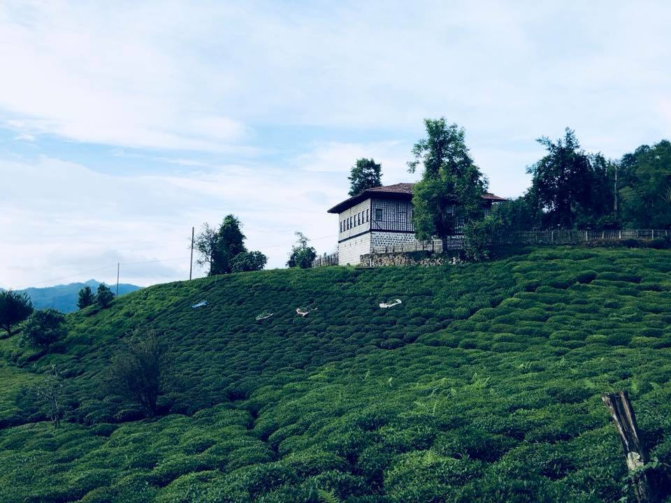 Fındıklı Saatköy Köyü Resimleri 1