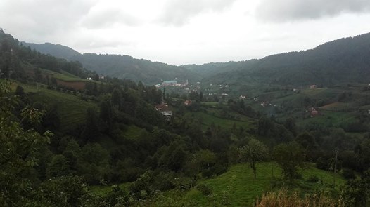 Fındıklı Saatköy Köyü Resimleri 2