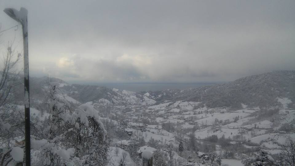 Fındıklı Saatköy Köyü Resimleri 3