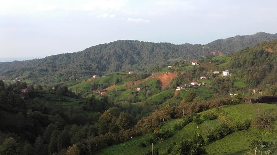 Fındıklı Saatköy Köyü Resimleri 4