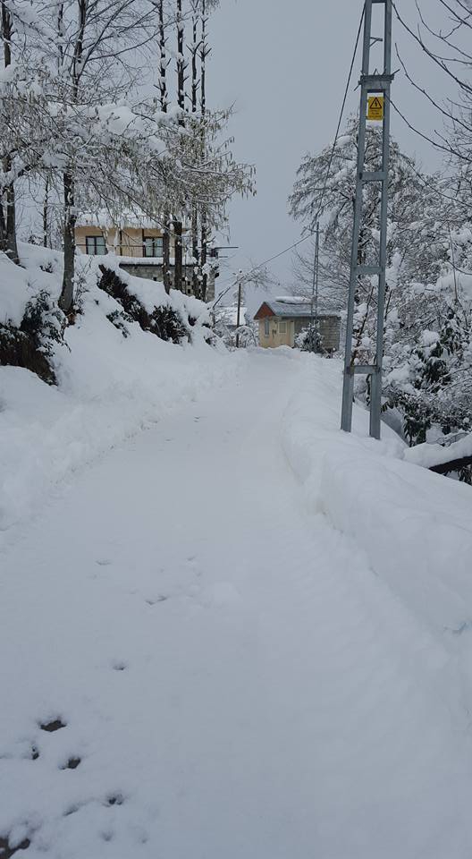 Fındıklı Saatköy Köyü Resimleri 5