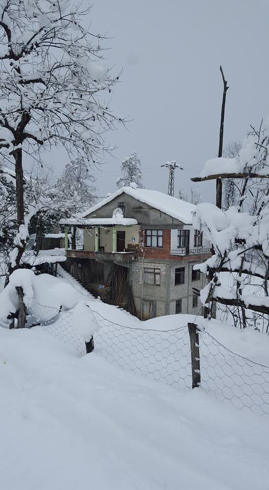 Fındıklı Saatköy Köyü Resimleri 8