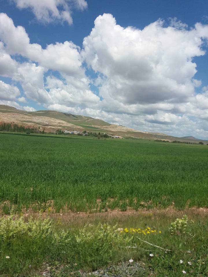 Sivas Akçamescit Köyü Resimleri 3