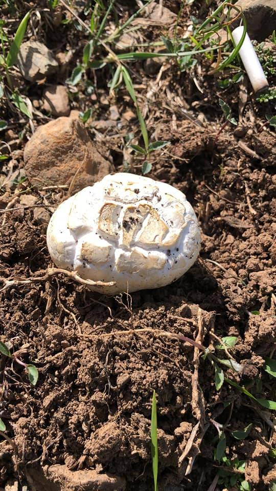 Sivas Akkoç Köyü Resimleri 6