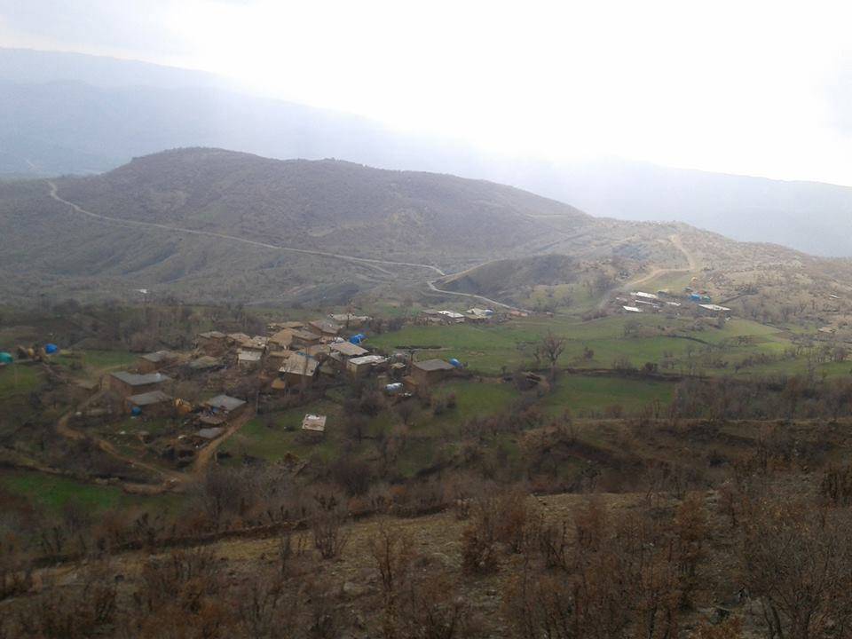 Baykan Ardıçdalı Köyü Resimleri 1