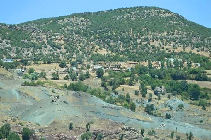 Baykan Ardıçdalı Köyü Resimleri 2