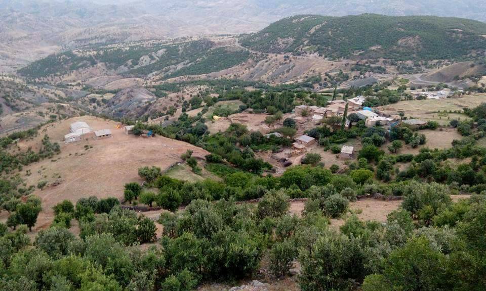 Baykan Ardıçdalı Köyü Resimleri 3