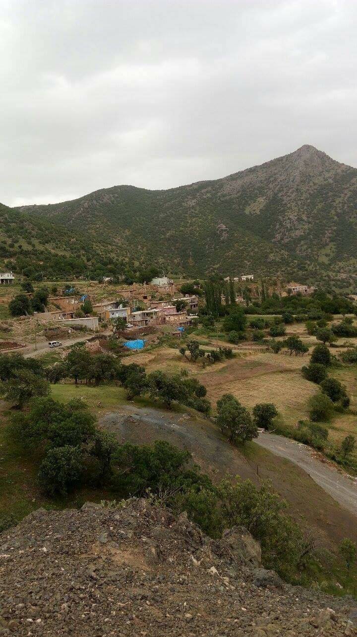 Baykan Ardıçdalı Köyü Resimleri 4