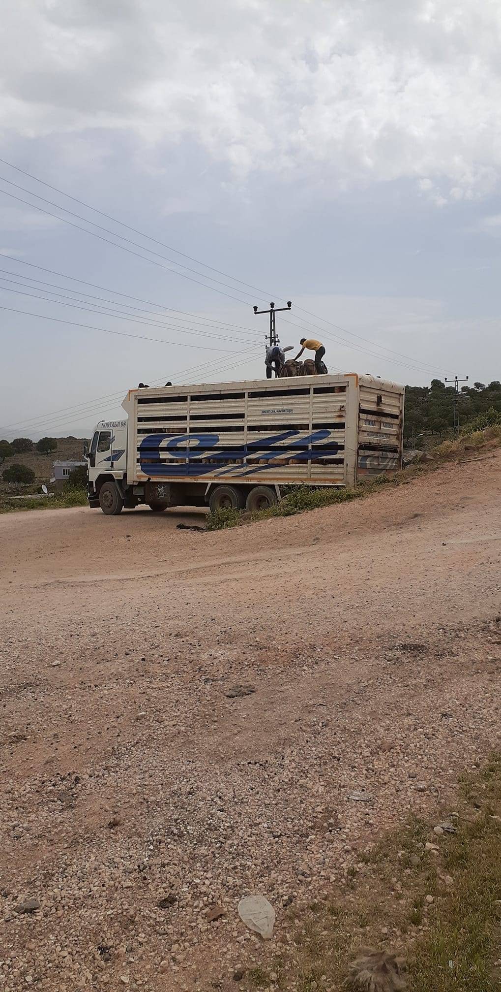 Akdeniz  Hürriyet Köyü Resimleri 5