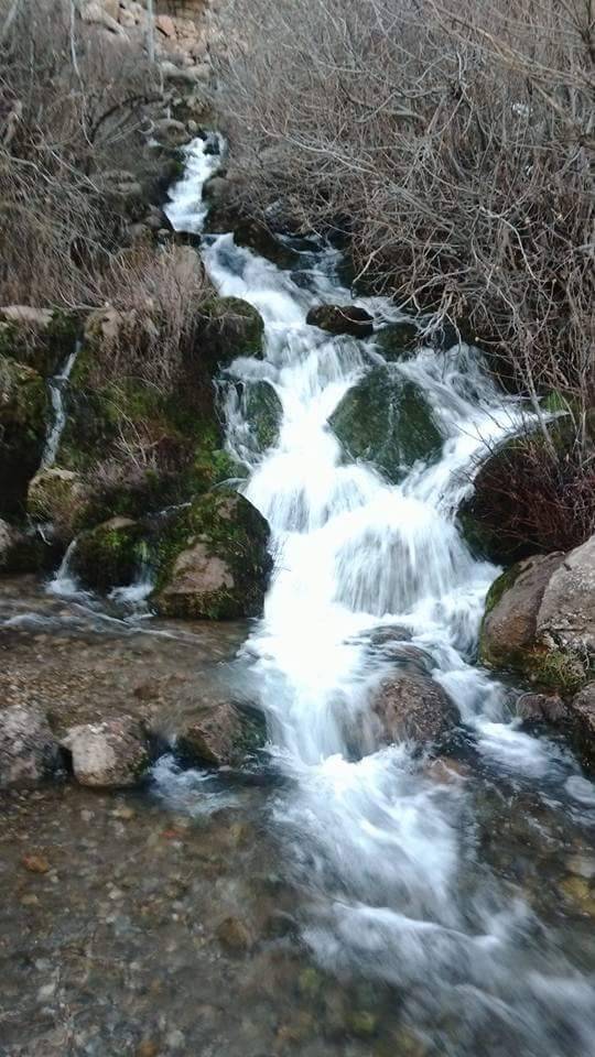 Baykan Çamtaşı Köyü Resimleri 1