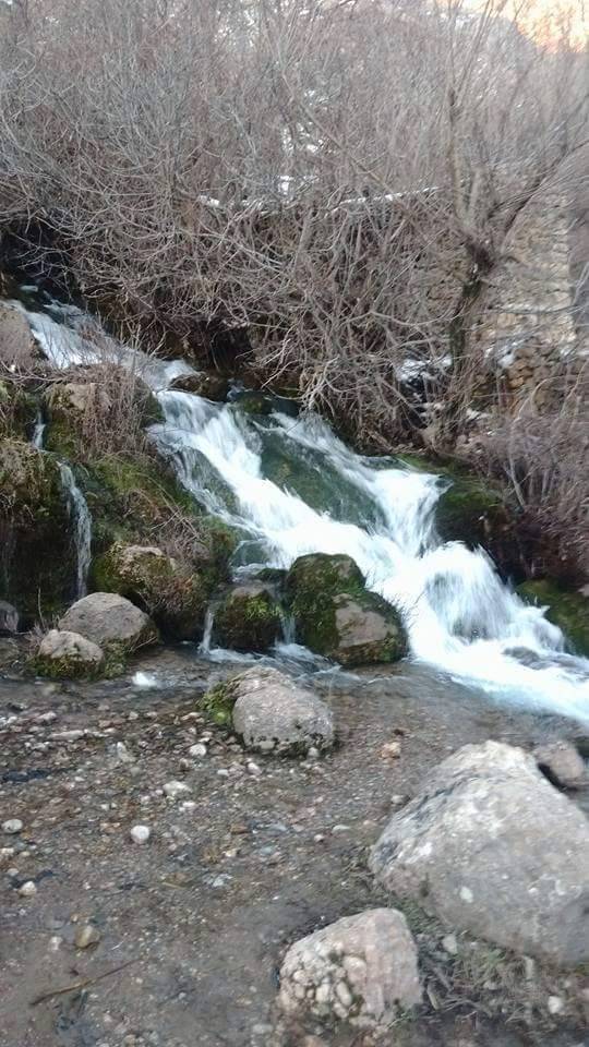 Baykan Çamtaşı Köyü Resimleri 2