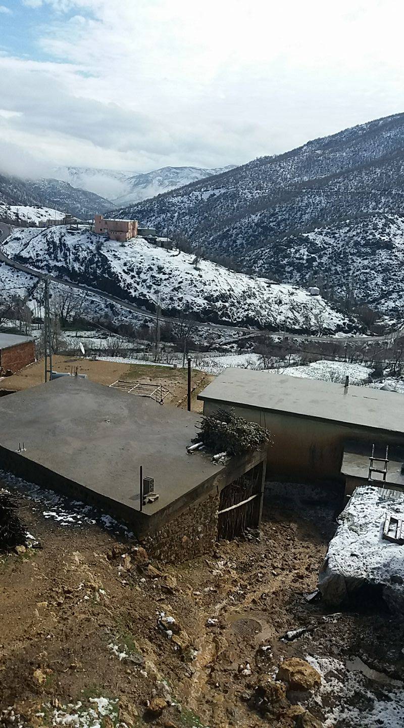 Baykan Çamtaşı Köyü Resimleri 4