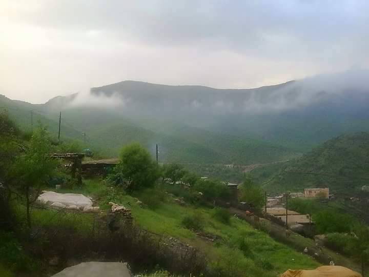 Baykan Çamtaşı Köyü Resimleri 8