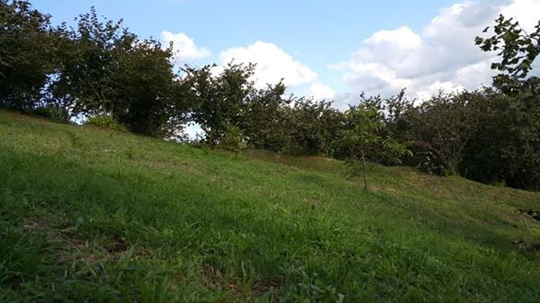 Karasu Karanlıkdere Köyü  Resimleri 2