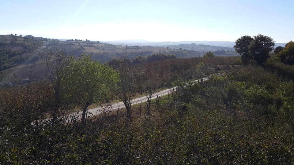 Karasu Karanlıkdere Köyü  Resimleri 4