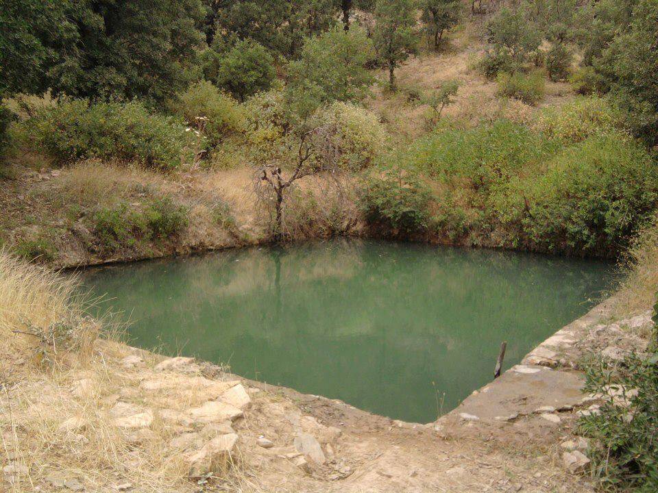 Baykan Çevrimtepe Köyü Resimleri 6