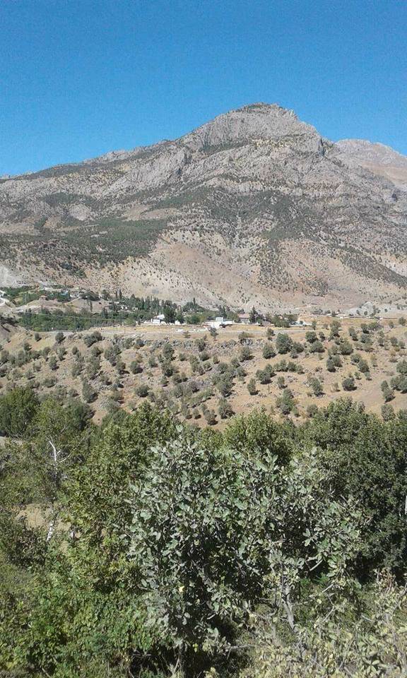 Baykan Demirışık Köyü Resimleri 3