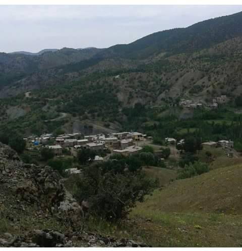 Baykan Derince Köyü Resimleri 2