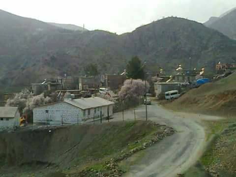 Baykan Derince Köyü Resimleri 5