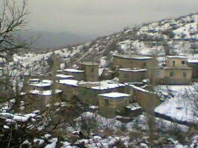 Baykan Dokuzçavuş Köyü Resimleri 1