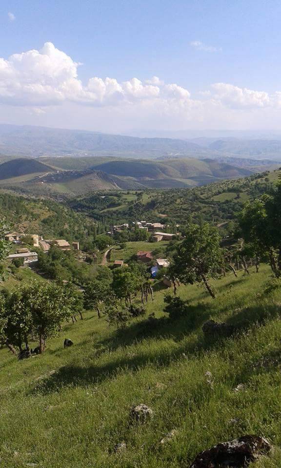 Baykan Dokuzçavuş Köyü Resimleri 3