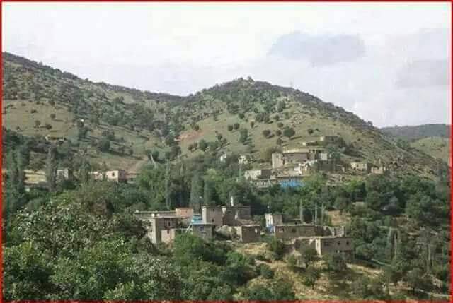 Baykan Dokuzçavuş Köyü Resimleri 4