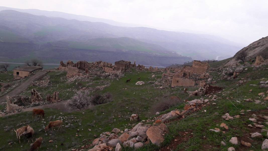 Baykan Engin Köyü Resimleri 9