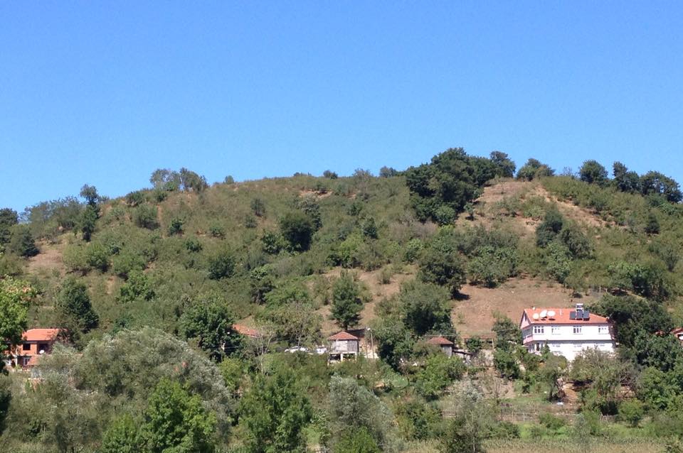 Karasu Karapınar Köyü Resimleri 7