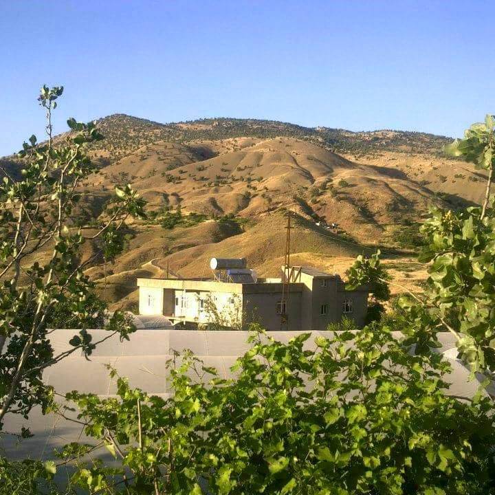 Baykan Gündoğdu Köyü Resimleri 4