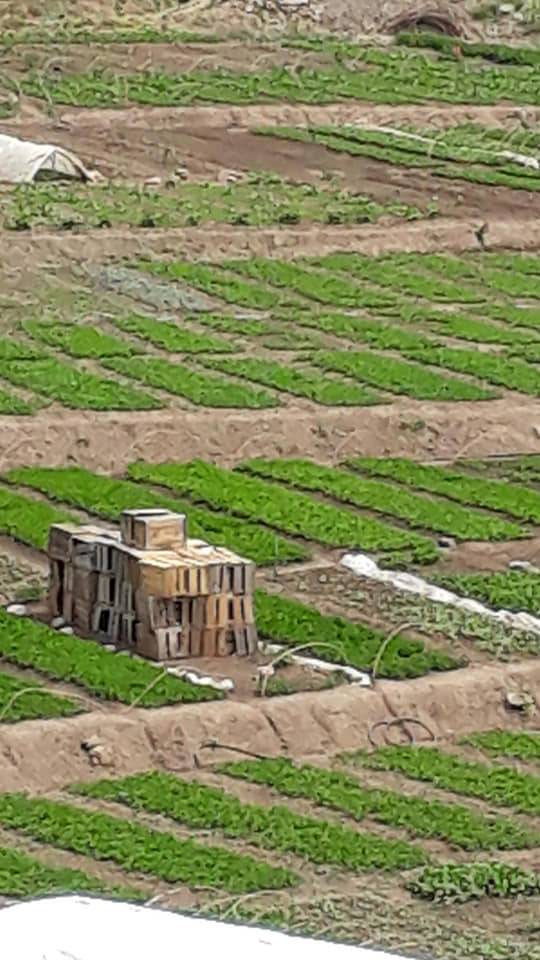 Baykan Gündoğdu Köyü Resimleri 7