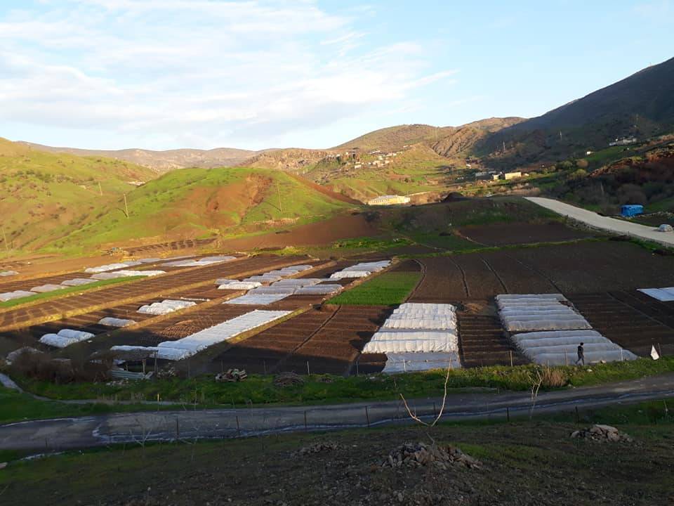 Baykan Gündoğdu Köyü Resimleri 9