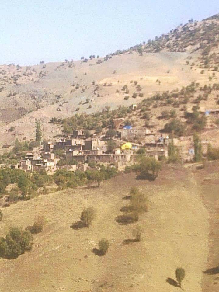 Baykan İkizler Köyü Resimleri 3