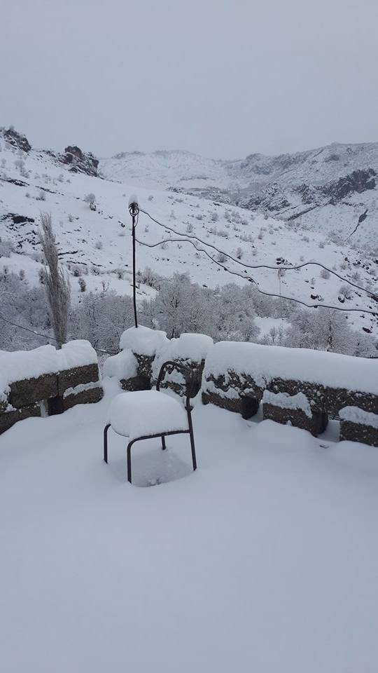 Baykan Narlıyurt Köyü Resimleri 1